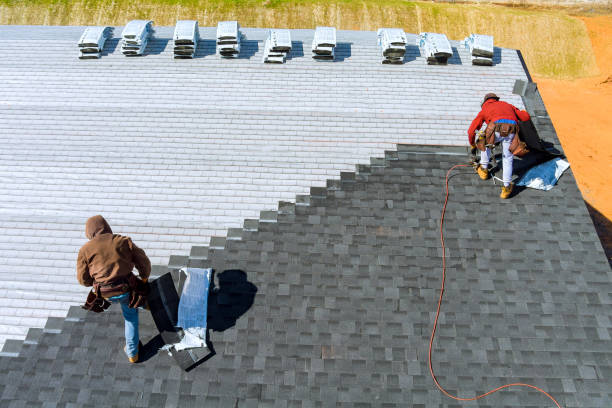 Best Metal Roofing Contractor  in Peshtigo, WI