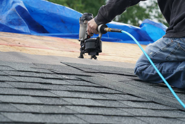 Best Metal Roofing Contractor  in Peshtigo, WI